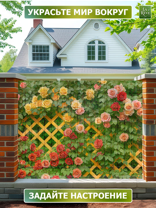 фотосетка 0003 6