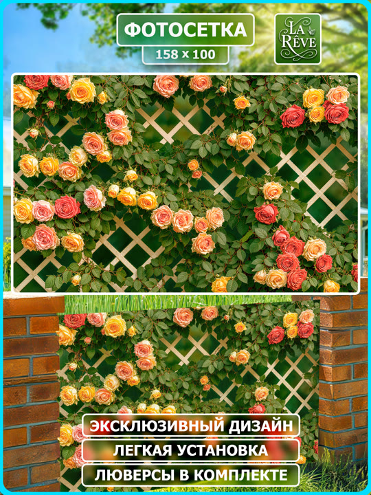 фотосетка 0003 7