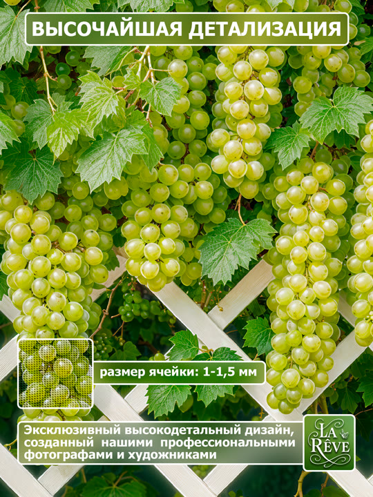 Карточка%20M.0005.100.1588 03