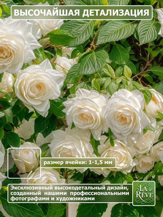 Карточка%20M.0005.100.1588 03