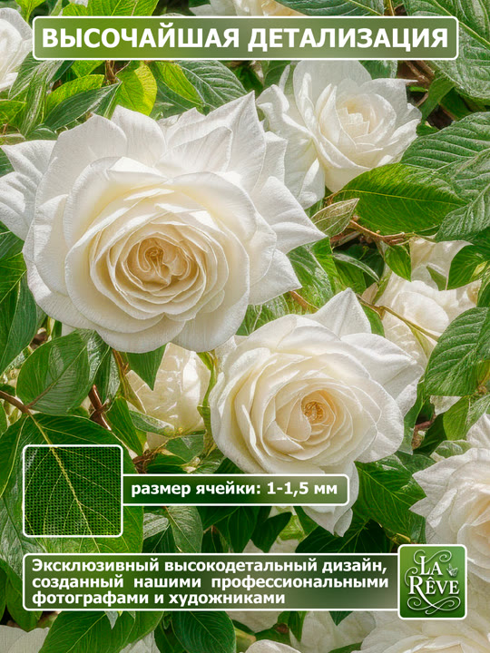 Карточка%20M.0005.158.200 02