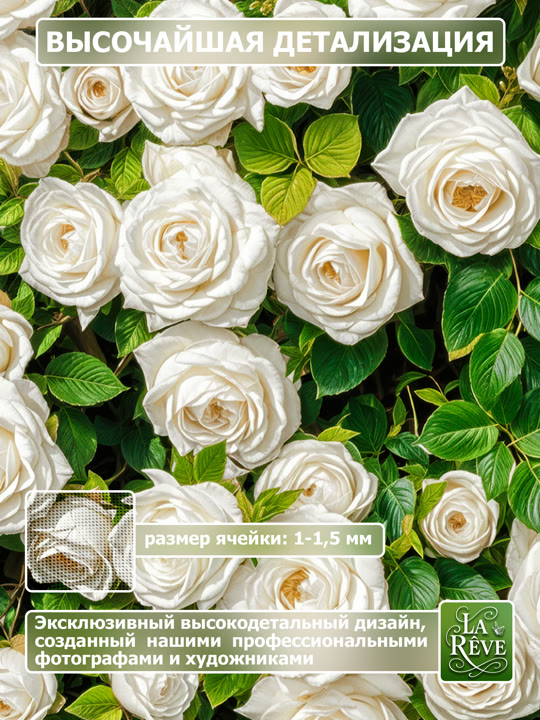 Карточка%20M.0005.100.1588 03