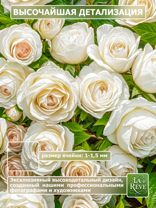 Карточка%20M.0005.100.1588 03